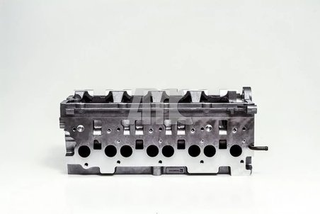 Chiulasa AMC 908718
