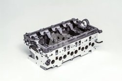 Chiulasa AMC 908718
