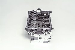 Chiulasa AMC 908718