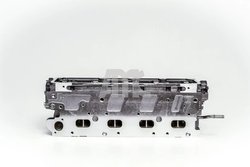 Chiulasa AMC 908728