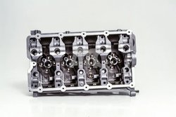 Chiulasa AMC 908718
