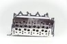 Chiulasa AMC 908728