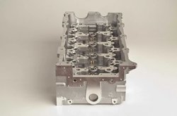 Chiulasa AMC 908753