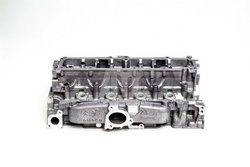 Chiulasa AMC 908833