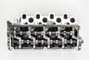 Chiulasa AMC 908927