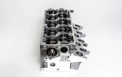 Chiulasa AMC 908927