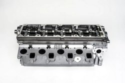 Chiulasa AMC 908927