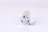 USCATOR AER CONDITIONAT NISSENS 95193 - Compatibil cu FIAT
