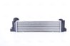 INTERCOOLER NISSENS 96595 - Compatibil cu BMW