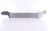 INTERCOOLER NISSENS 96861 - Compatibil cu MERCEDES-BENZ