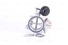 Supapa EGR Nissens 98301