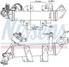 RADIATOR RECIRCULARE GAZE ESAPAMENT NISSENS 989287 - Compatibil cu NISSAN, OPEL, RENAULT, VAUXHALL
