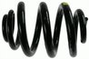 ARC SUSPENSIE SACHS 994 182 - Compatibil cu VW