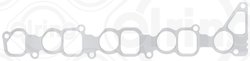 GARNITURA GALERIE ADMISIE ELRING 996.650 - Compatibil cu CHEVROLET, GOLDEN DRAGON, HOLDEN, ISUZU, ISUZU (JIANGXI), JAC, JIEFANG 