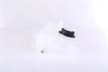VAS EXPANSIUNE LICHID RACIRE NISSENS 996182 - Compatibil cu MERCEDES-BENZ