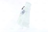 VAS EXPANSIUNE LICHID RACIRE NISSENS 996312 - Compatibil cu DAF