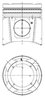 PISTON KOLBENSCHMIDT 99697600 - Compatibil cu ERF, MAN, NEOPLAN