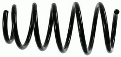 ARC SUSPENSIE SACHS 998 738 - Compatibil cu OPEL, VAUXHALL