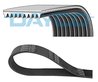 Curea transmisie Dayco 9PK1780HD