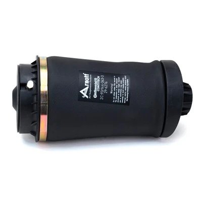 Arc pneumatic directie Arnott A-2597