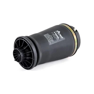 ARC PNEUMATIC DIRECTIE ARNOTT A-2596 - Compatibil cu MERCEDES-BENZ
