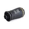 ARC PNEUMATIC DIRECTIE ARNOTT A-2596 - Compatibil cu MERCEDES-BENZ