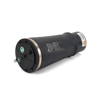 ARC PNEUMATIC DIRECTIE ARNOTT A-2949 - Compatibil cu LEXUS, TOYOTA