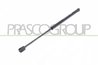 AMORTIZOR PORTBAGAJ PRASCO AA3409055 - Compatibil cu ALFA ROMEO