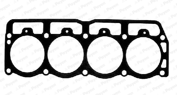 GARNITURA CHIULOASA PAYEN AC5600 - Compatibil cu JEEP, JEEP (BJC)