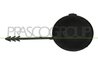 Capac carlig remorcare Prasco AD0241236
