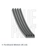 Curea transmisie Blue Print AD04R846