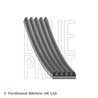 Curea transmisie Blue Print AD05R1188