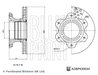 DISC FRANA BLUE PRINT ADBP430034 - Compatibil cu MERCEDES-BENZ