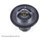 Termostat lichid racire Blue Print ADC49226