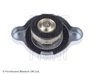 BUSON RADIATOR BLUE PRINT ADC49902 - Compatibil cu ASIA MOTORS, CARBODIES, DAIHATSU, FORD, FORD ASIA & OCEANIA, HONDA, HYUNDAI, 
