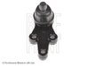 Pivot Blue Print ADG086140