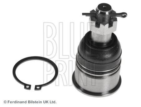 Pivot Blue Print ADH286137