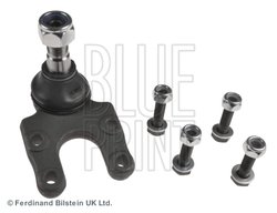Pivot Blue Print ADN18638