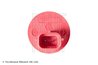 Pompa de apa spalare parbriz Blue Print ADT30301