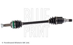 Planetara Blue Print ADT389503