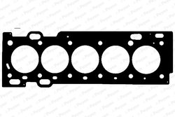 GARNITURA CHIULOASA PAYEN AE5560 - Compatibil cu VOLVO