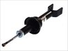 Amortizor Magnum Technology AG4010MT