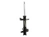 Amortizor Magnum Technology AG4041MT