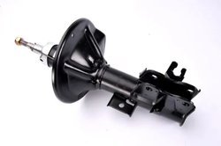 Amortizor Magnum Technology AG5019MT