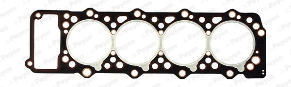 GARNITURA CHIULOASA PAYEN AG5160 - Compatibil cu MITSUBISHI