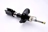 Amortizor Magnum Technology AG8006MT