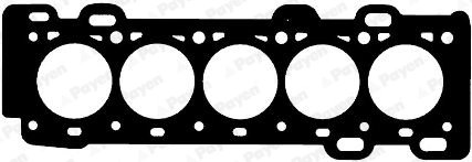 GARNITURA CHIULOASA PAYEN AG8341 - Compatibil cu VOLVO