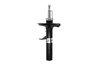 Amortizor Magnum Technology AGB080MT