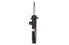 Amortizor Magnum Technology AGB101