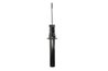 Amortizor Magnum Technology AGB109